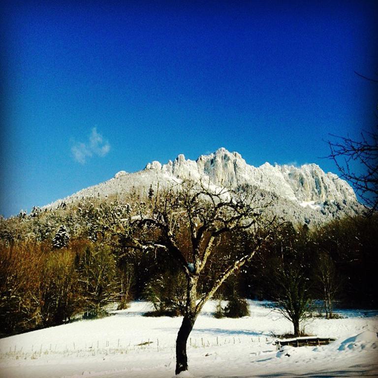 Village Vacances Les Alerions Talloires Buitenkant foto